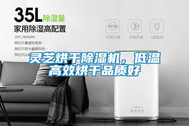 靈芝烘干除濕機(jī)，低溫高效烘干品質(zhì)好