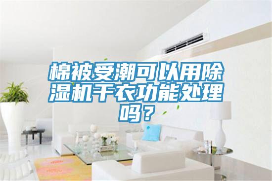 棉被受潮可以用除濕機干衣功能處理嗎？