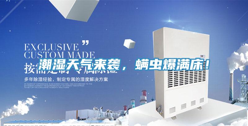 潮濕天氣來(lái)襲，螨蟲(chóng)爆滿(mǎn)床！