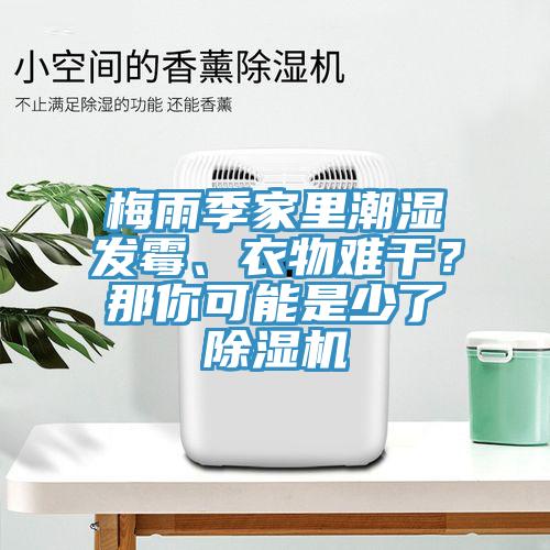 梅雨季家里潮濕發(fā)霉、衣物難干？那你可能是少了除濕機(jī)