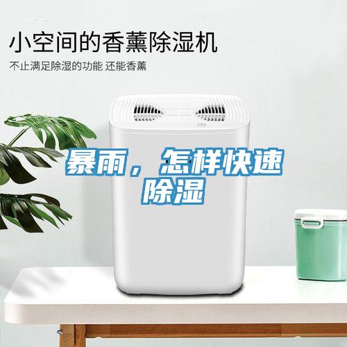 暴雨，怎樣快速除濕