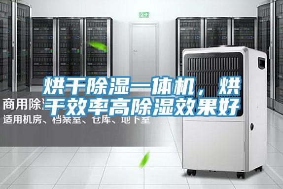 烘干除濕一體機(jī)，烘干效率高除濕效果好