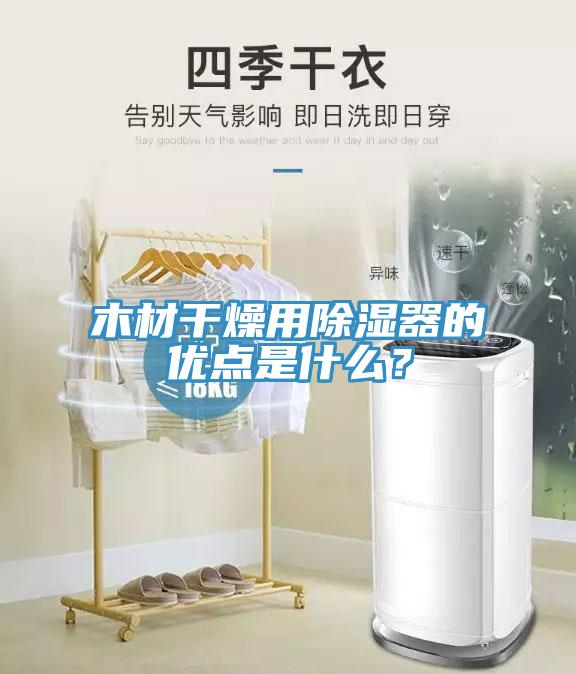 木材干燥用除濕器的優(yōu)點(diǎn)是什么？