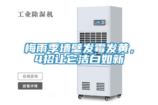 梅雨季墻壁發(fā)霉發(fā)黃，4招讓它潔白如新