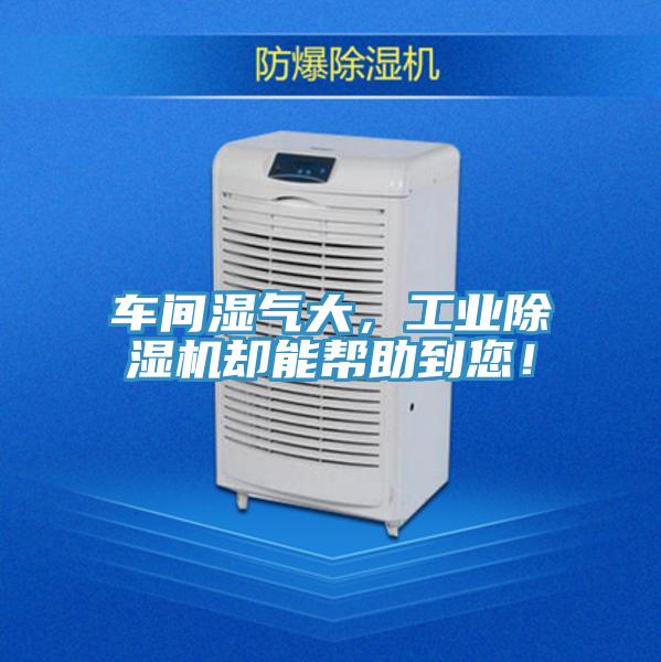 車間濕氣大，工業(yè)除濕機卻能幫助到您！
