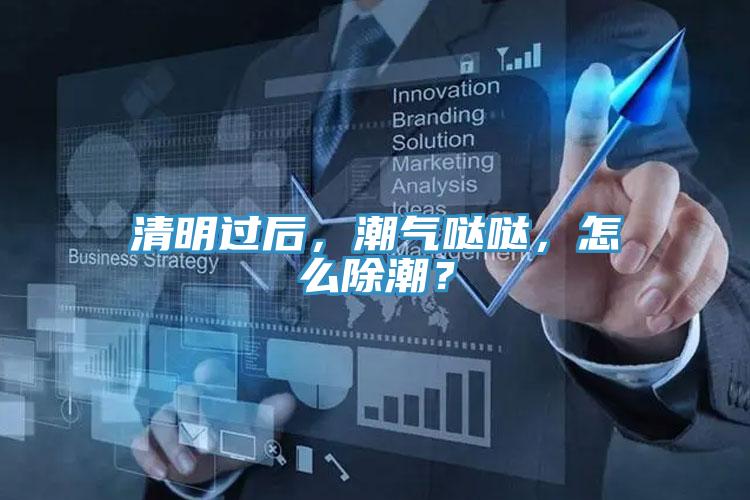 清明過后，潮氣噠噠，怎么除潮？