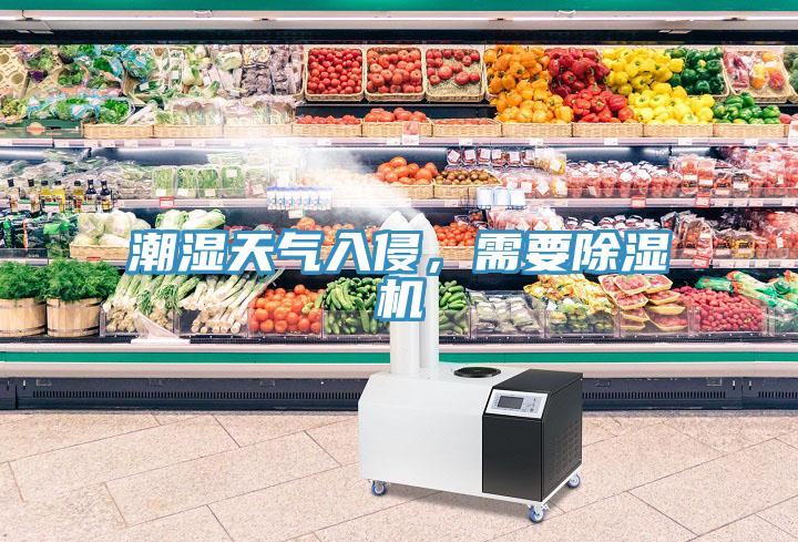 潮濕天氣入侵，需要除濕機(jī)
