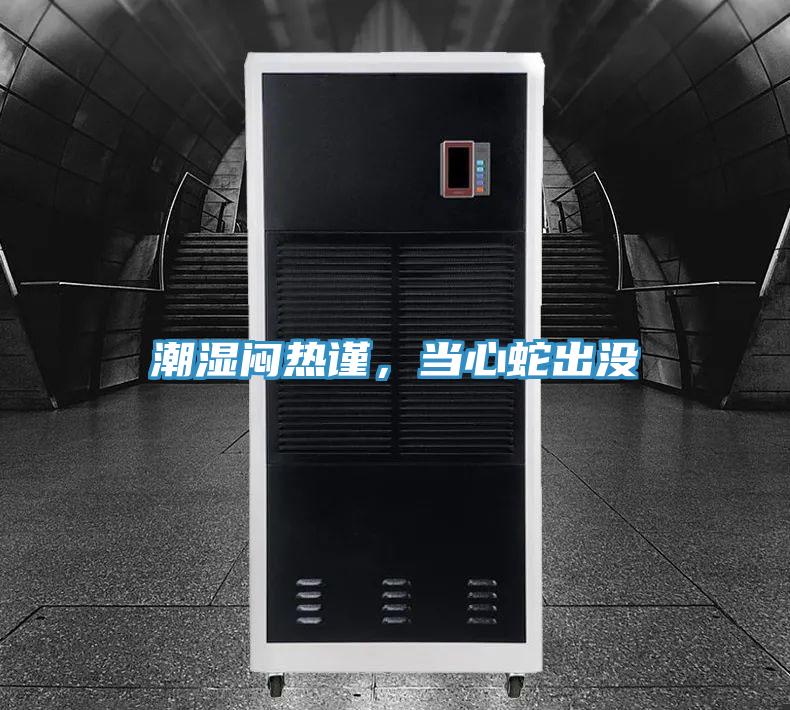 潮濕悶熱謹，當心蛇出沒