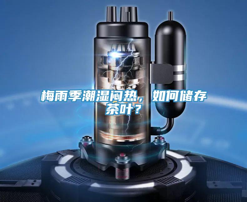 梅雨季潮濕悶熱，如何儲存茶葉？