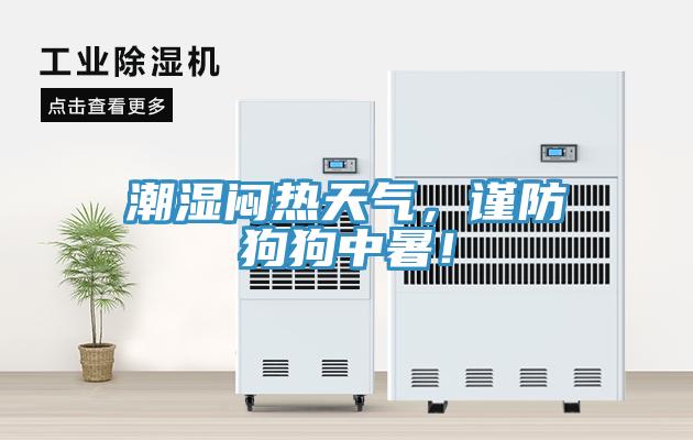 潮濕悶熱天氣，謹防狗狗中暑！