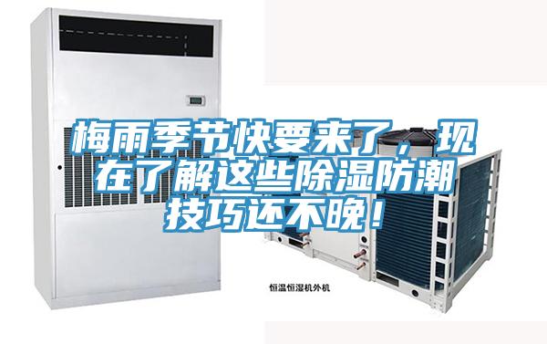 梅雨季節(jié)快要來(lái)了，現(xiàn)在了解這些除濕防潮技巧還不晚！