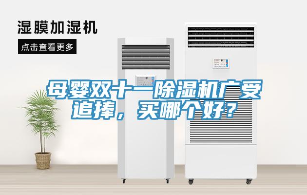母嬰雙十一除濕機(jī)廣受追捧，買哪個(gè)好？