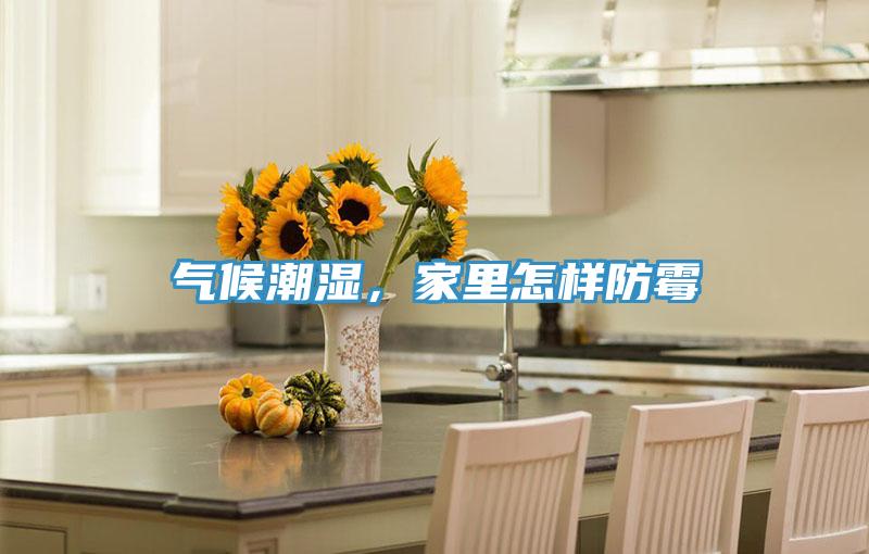 氣候潮濕，家里怎樣防霉