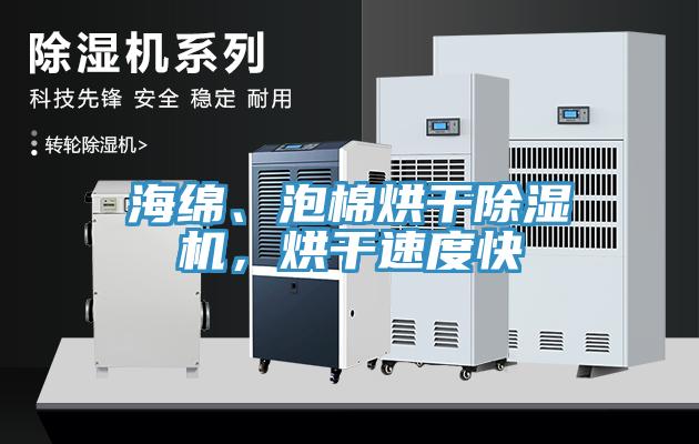 海綿、泡棉烘干除濕機(jī)，烘干速度快