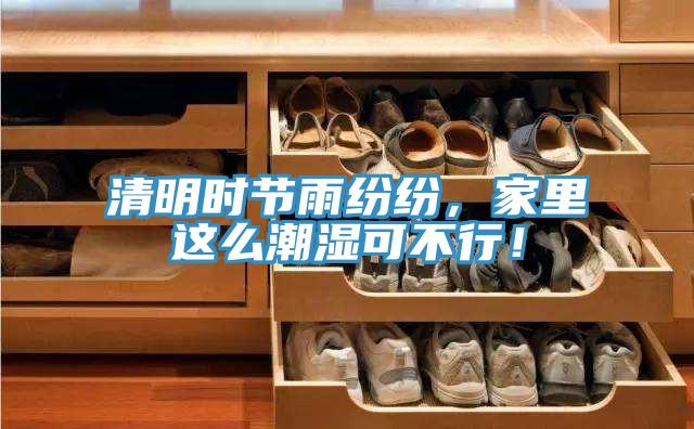 清明時節(jié)雨紛紛，家里這么潮濕可不行！