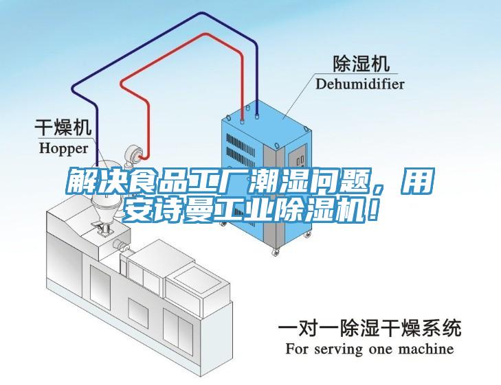 解決食品工廠潮濕問題，用安詩曼工業(yè)除濕機(jī)！