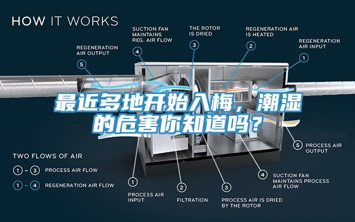 最近多地開始入梅，潮濕的危害你知道嗎？
