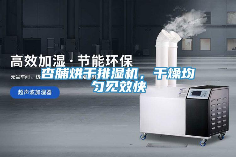 杏脯烘干排濕機(jī)，干燥均勻見效快