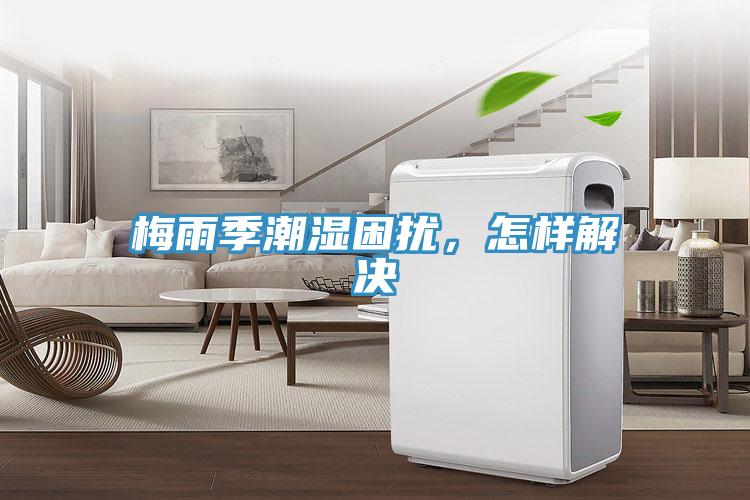 梅雨季潮濕困擾，怎樣解決