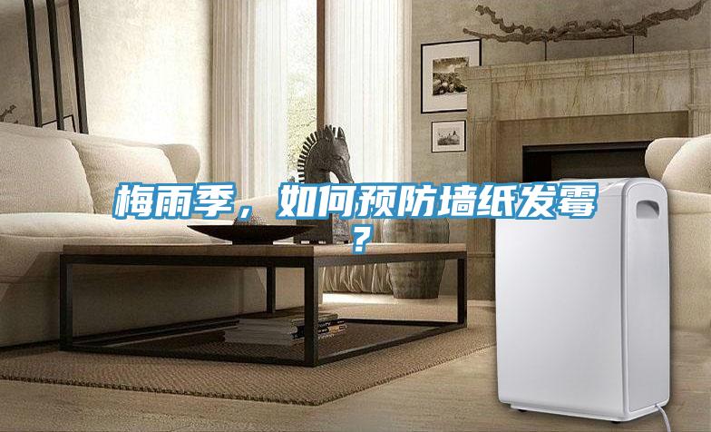 梅雨季，如何預(yù)防墻紙發(fā)霉？