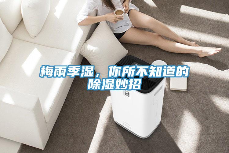 梅雨季濕，你所不知道的除濕妙招
