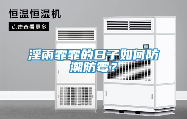 淫雨霏霏的日子如何防潮防霉？
