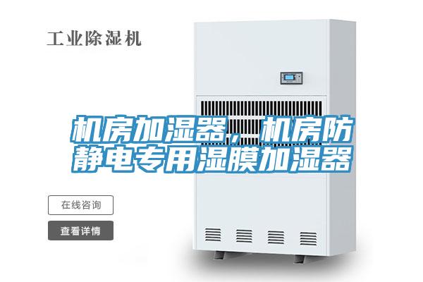 機(jī)房加濕器，機(jī)房防靜電專用濕膜加濕器