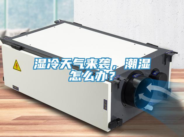 濕冷天氣來(lái)襲，潮濕怎么辦？