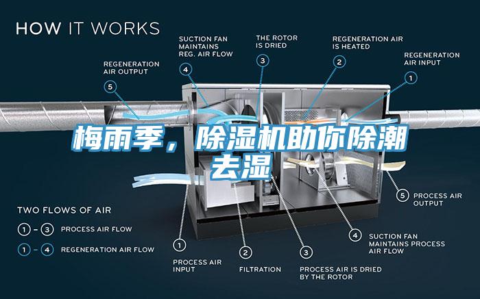 梅雨季，除濕機助你除潮去濕