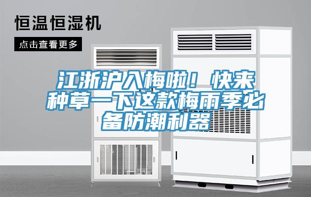 江浙滬入梅啦！快來種草一下這款梅雨季必備防潮利器