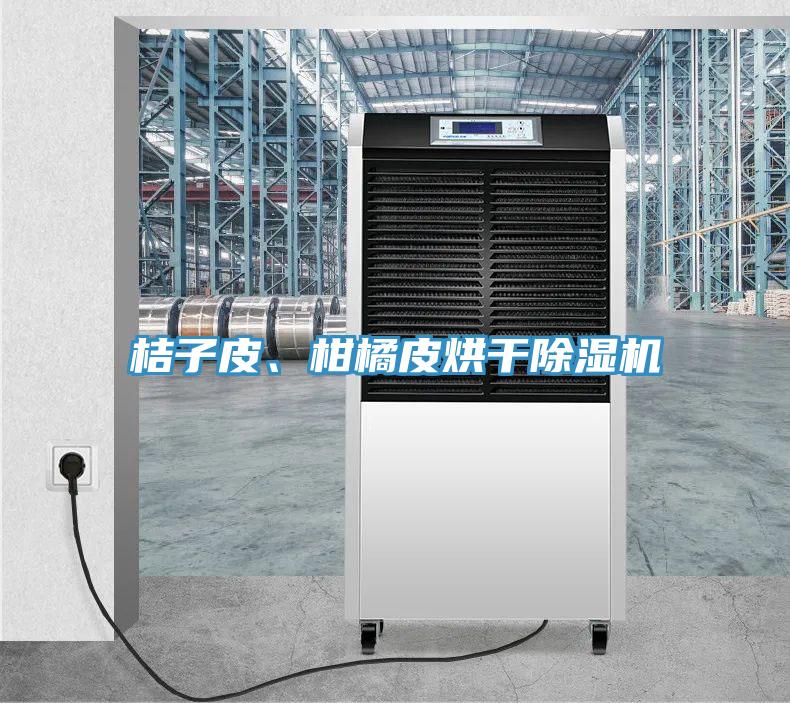 桔子皮、柑橘皮烘干除濕機(jī)