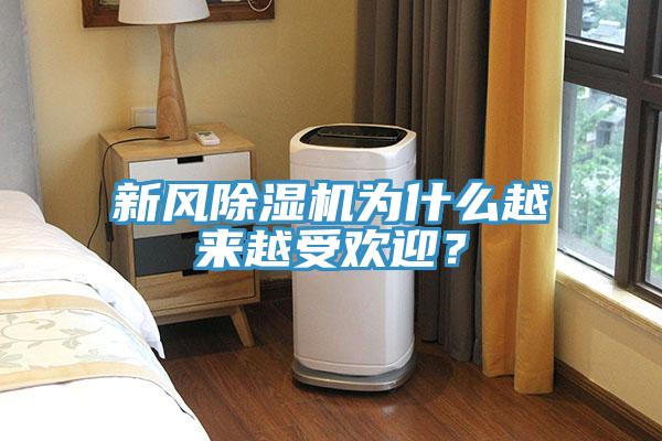 新風(fēng)除濕機(jī)為什么越來越受歡迎？