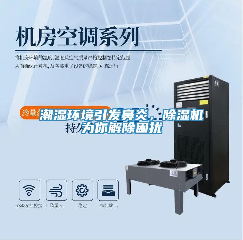潮濕環(huán)境引發(fā)鼻炎，除濕機為你解除困擾