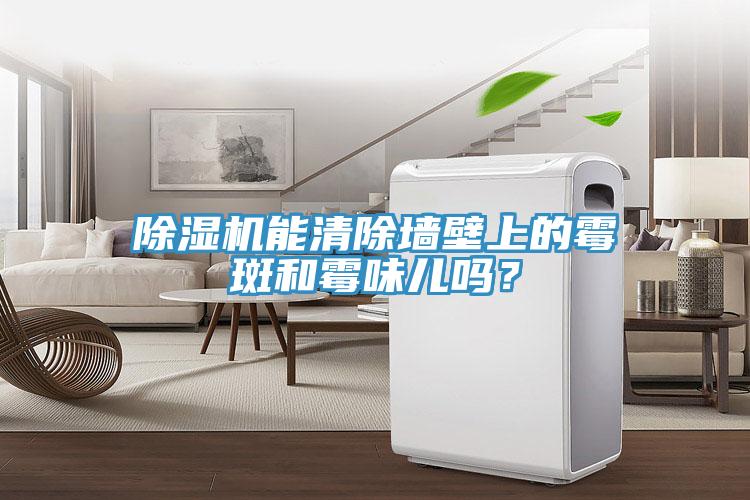 除濕機能清除墻壁上的霉斑和霉味兒嗎？