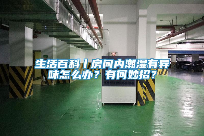 生活百科丨房間內(nèi)潮濕有異味怎么辦？有何妙招？