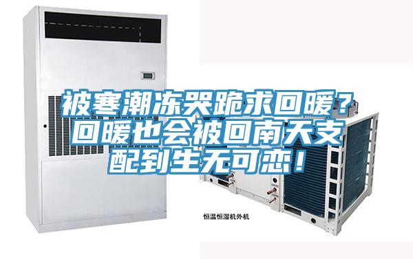 被寒潮凍哭跪求回暖？回暖也會被回南天支配到生無可戀！