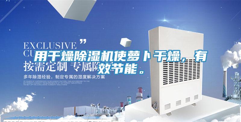 用干燥除濕機(jī)使蘿卜干燥，有效節(jié)能。