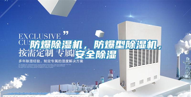 防爆除濕機(jī)，防爆型除濕機(jī)，安全除濕