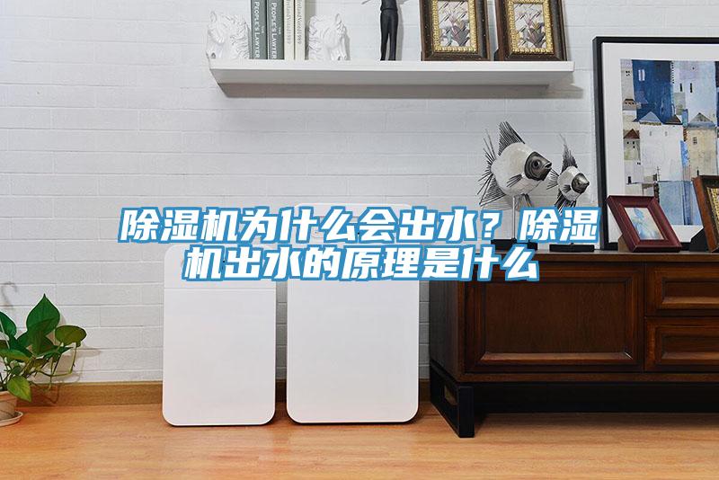 除濕機為什么會出水？除濕機出水的原理是什么