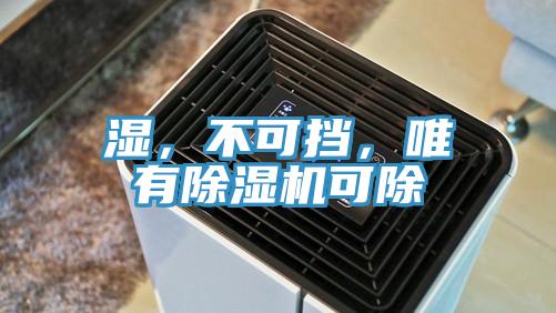 濕，不可擋，唯有除濕機可除