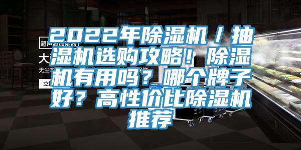 2022年除濕機／抽濕機選購攻略！除濕機有用嗎？哪個牌子好？高性價比除濕機推薦