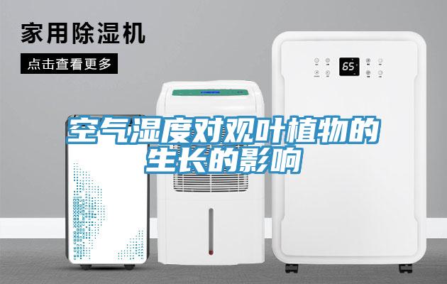 空氣濕度對(duì)觀葉植物的生長的影響
