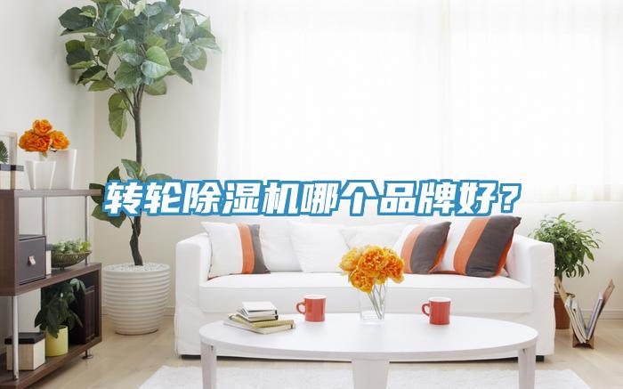 轉(zhuǎn)輪除濕機(jī)哪個品牌好？
