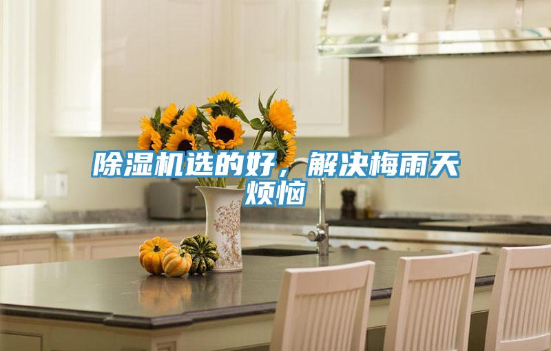除濕機(jī)選的好，解決梅雨天煩惱