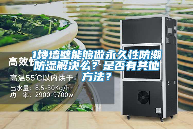 1樓墻壁能夠做永久性防潮防濕解決么？是否有其他方法？