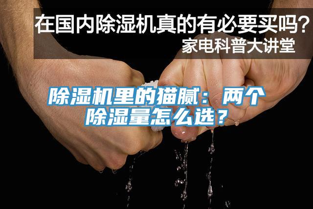 除濕機(jī)里的貓膩：兩個(gè)除濕量怎么選？