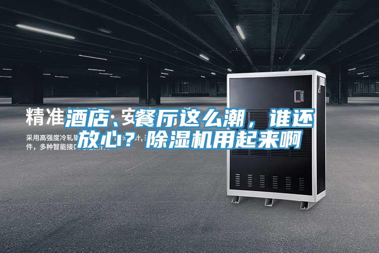 酒店、餐廳這么潮，誰還放心？除濕機用起來啊
