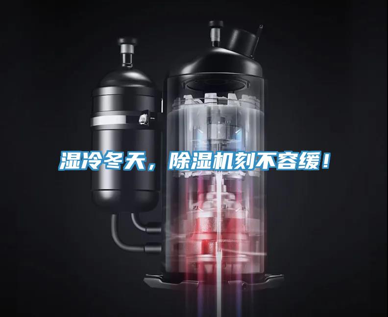 濕冷冬天，除濕機刻不容緩！