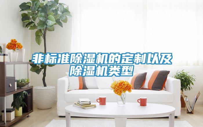 非標(biāo)準(zhǔn)除濕機(jī)的定制以及除濕機(jī)類(lèi)型