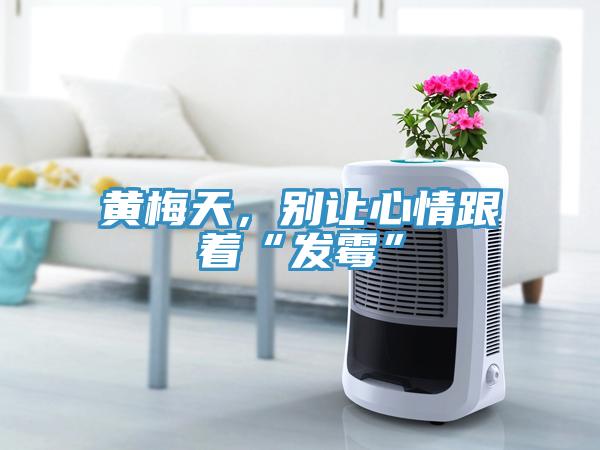 黃梅天，別讓心情跟著“發(fā)霉”